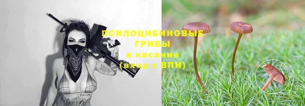 мяу мяу мука Вязьма