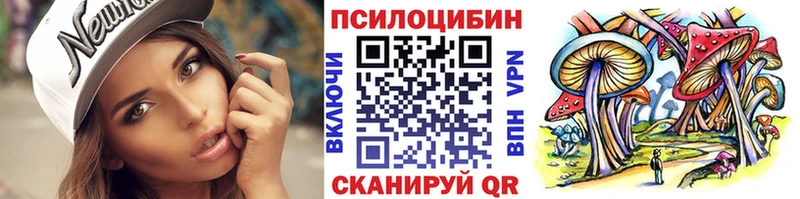Галлюциногенные грибы GOLDEN TEACHER  купить закладку  Северодвинск 