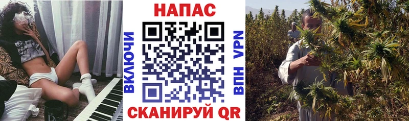 купить наркотики сайты  Северодвинск  Бошки марихуана тримм 